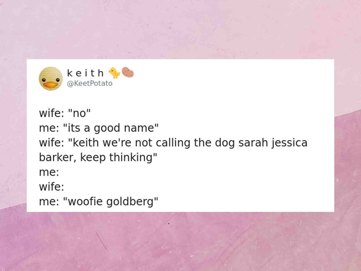vitabiotics's tweet photo. We were thinking Kelly Barkson. Brad Pitt Bull or Bark Obama ๐คญโฃ
#JustForFun #DogTweets #DogsLife #ItsADogsLife #ItsADogsWorld https://t.co/oMhRhGfs4a