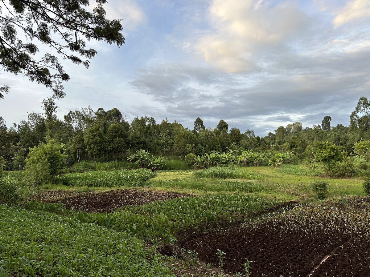 Enjoying very much all the learning in the field course: “ Tropical Cropping Systems, Soils, and Livelihoods” with @EmbuUniversity in Embu, Kenya. @ETH_SAE_group @ethzWFSC @usys_ethzh