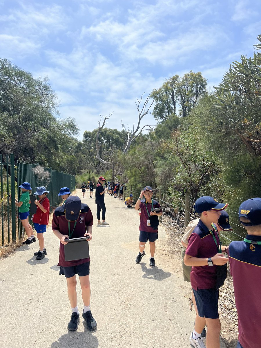 Michelle Lloyd (@shell_lloyd70) on Twitter photo Innovation at its best! Our first #WATechTalk kids conference was held today. Students collaborating across sectors to be champions for the environment <a href="/reniemck/">RenieMc</a> <a href="/MrMP_Wright/">Matthew Wright</a> <a href="/msbehiels/">P Behiels</a> <a href="/CEWADigLearn/">CEWA Digital Learning</a> Innovation at its best! Our first #WATechTalk kids conference was held today. Students collaborating across sectors to be champions for the environment <a href="/reniemck/">RenieMc</a> <a href="/MrMP_Wright/">Matthew Wright</a> <a href="/msbehiels/">P Behiels</a> <a href="/CEWADigLearn/">CEWA Digital Learning</a>