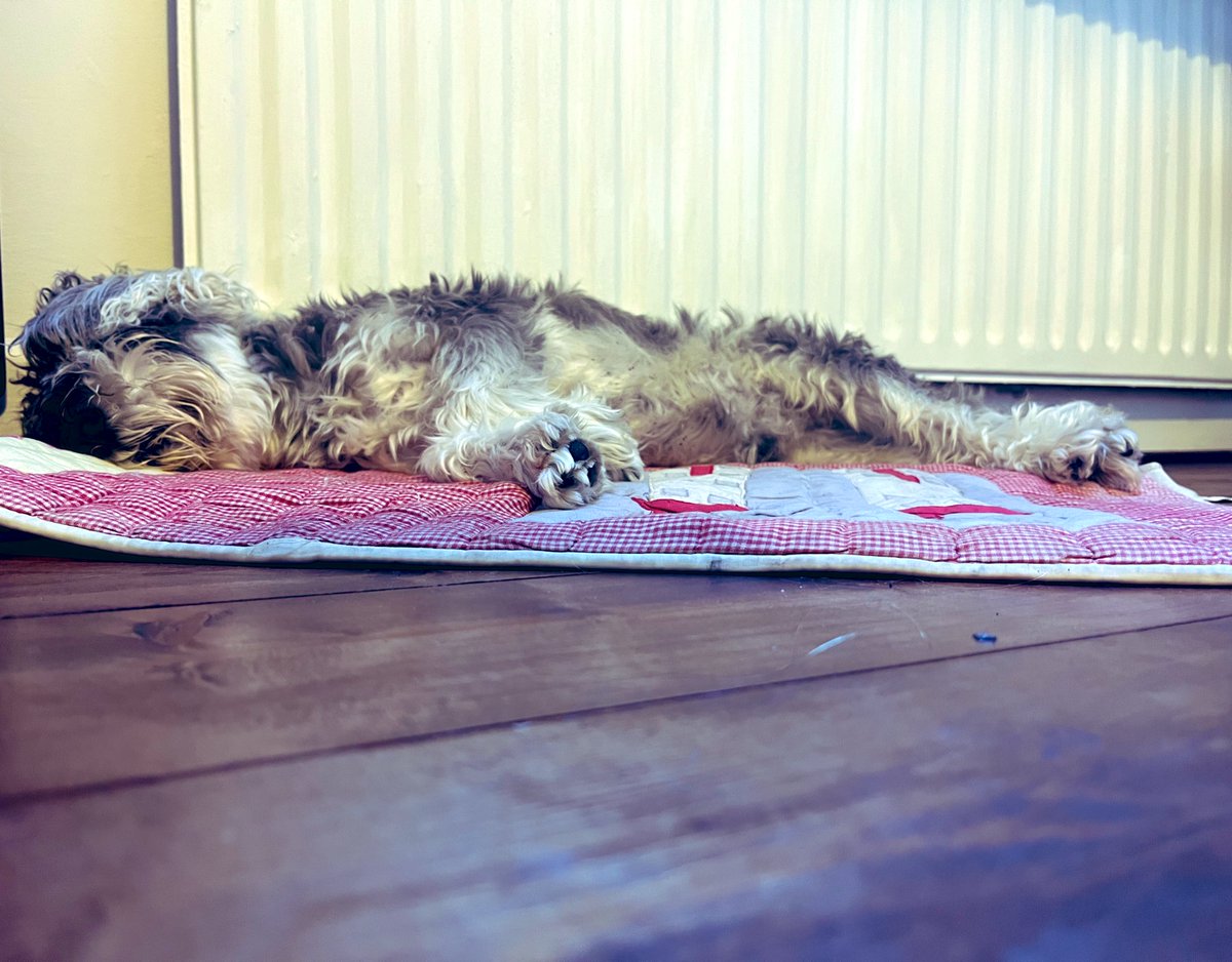 garvangrant's tweet photo. Weekend warrior.
#crashedout #warmspot #tosleep #perchance #todream https://t.co/ngAd90hS4g
