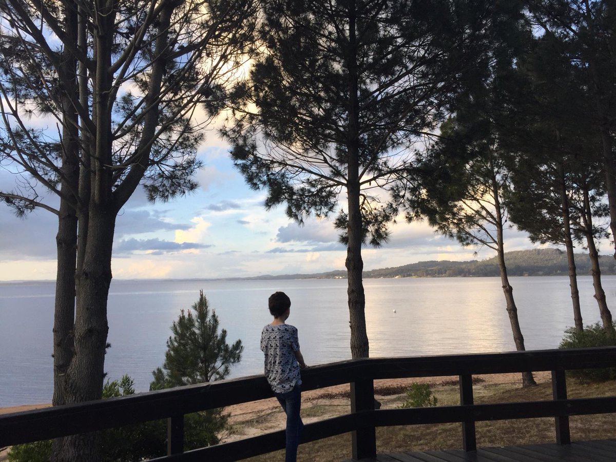 Florencia Krall tweet media