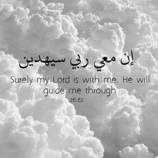 صفية محمد (@tanaystlns) on Twitter photo 