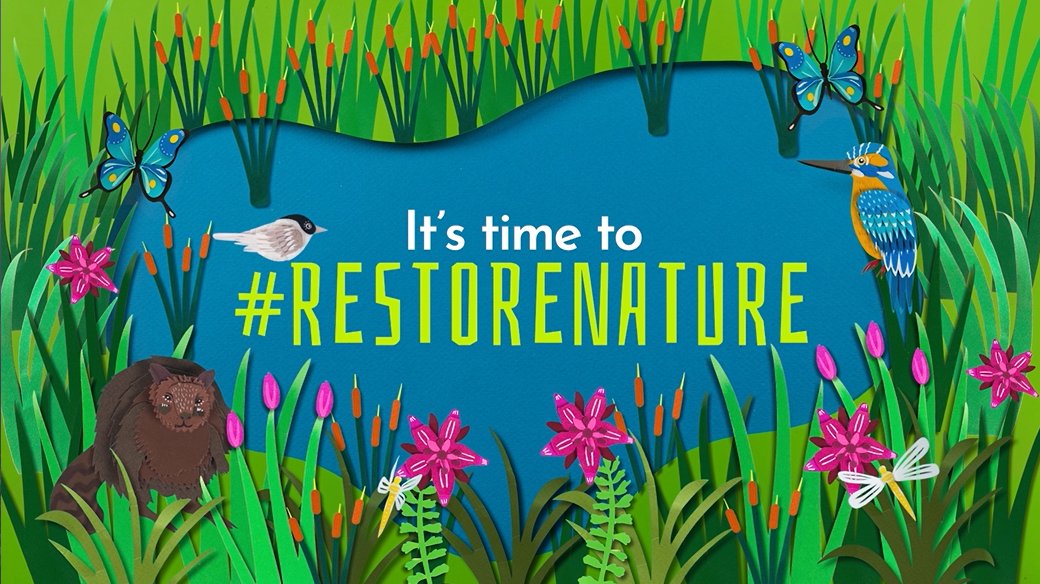 Ioannis Aeon Agapakis (@ioannisagapakis) on Twitter photo 🌳🌊⚖️After having been ravaged by floods, droughts and wildfires, Europe has the chance to take nature & climate action on Thursday, 9/11, when <a href="/EU_Commission/">European Commission</a> @eu2023es <a href="/Europarl_EN/">European Parliament</a> will (hopefully) reach an agreement on the #RestoreNature saga.
🧵on context & our demands🧵 🌳🌊⚖️After having been ravaged by floods, droughts and wildfires, Europe has the chance to take nature & climate action on Thursday, 9/11, when <a href="/EU_Commission/">European Commission</a> @eu2023es <a href="/Europarl_EN/">European Parliament</a> will (hopefully) reach an agreement on the #RestoreNature saga.
đź§µon context & our demandsđź§µ