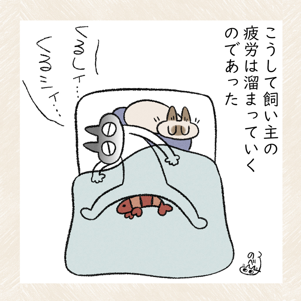 毎晩うなされる #シャム猫あずきさんは世界の中心 