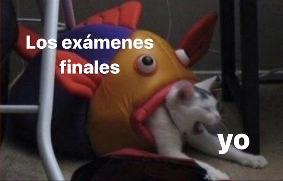 Wuolah (@wuolah) on Twitter photo 