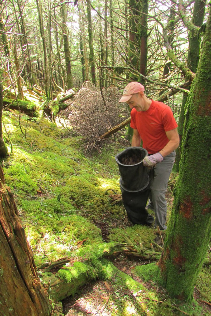 Insect Conservation and Diversity tweet media