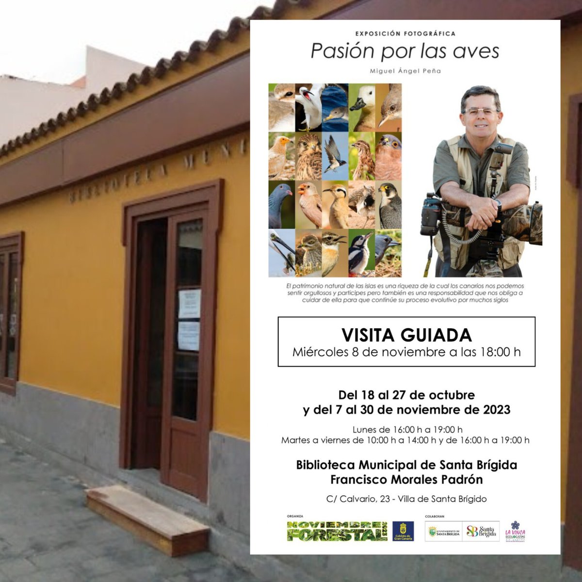Ayto_VillaSB's tweet photo. 🗓️ 8 de noviembre
🕟 18.00 horas
📍 Biblioteca municipal

El biólogo y fotógrafo Miguel Ángel Peña Estévez brinda una visita guiada a la exposición 'Pájaros'. La muestra tiene como objetivo acercar al público a la asombrosa belleza y diversidad de las aves canarias. https://t.co/HOYORm8AqC