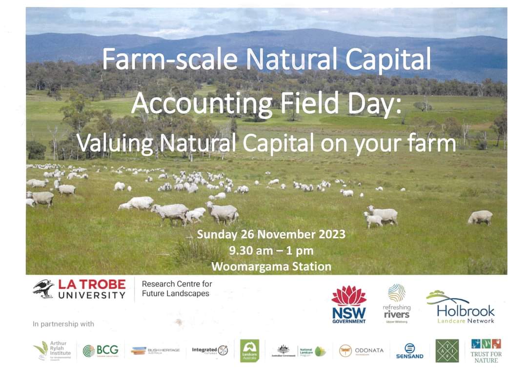 Holbrook Landcare tweet media