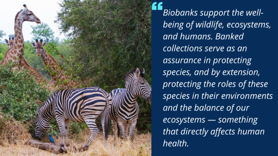 OpenSpecimen tweet media