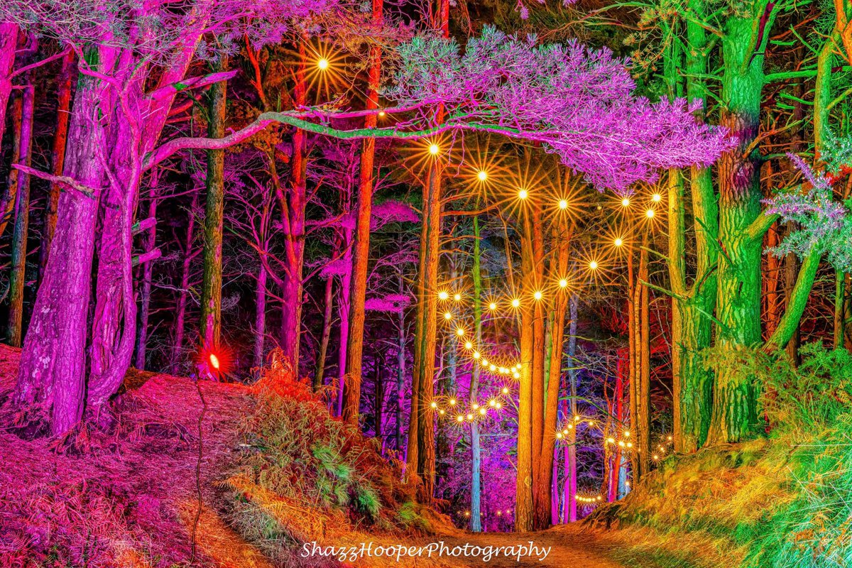 ILLUMINATE at The Blue Pool 2024
Booking essential.
Opening 11th January - 25th February 2024
Lights, colour &amp; entertainment, Even more spectacular. The Tearooms will be open - licensed bar🍷hot food 🍔 fire pits.
Thanks to Shazz Hooper for photo. 

illuminate-bluepool.eventbrite.co.uk