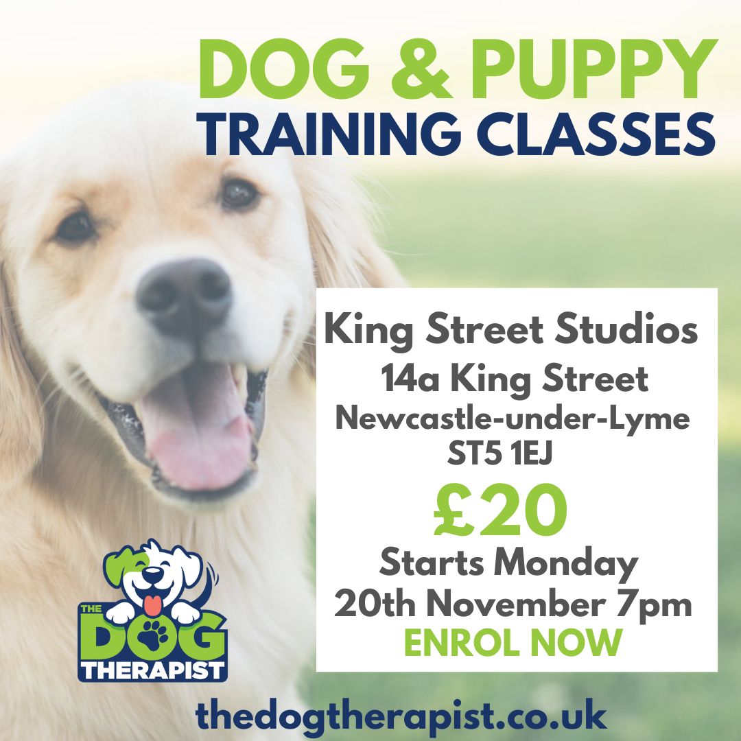 King Street Studios CIC tweet media