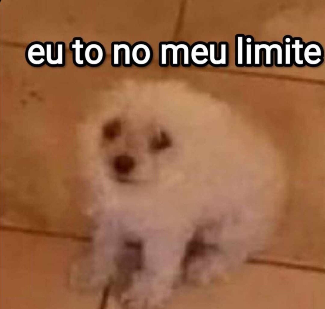 Páginas que se sumirem o X acaba tweet media