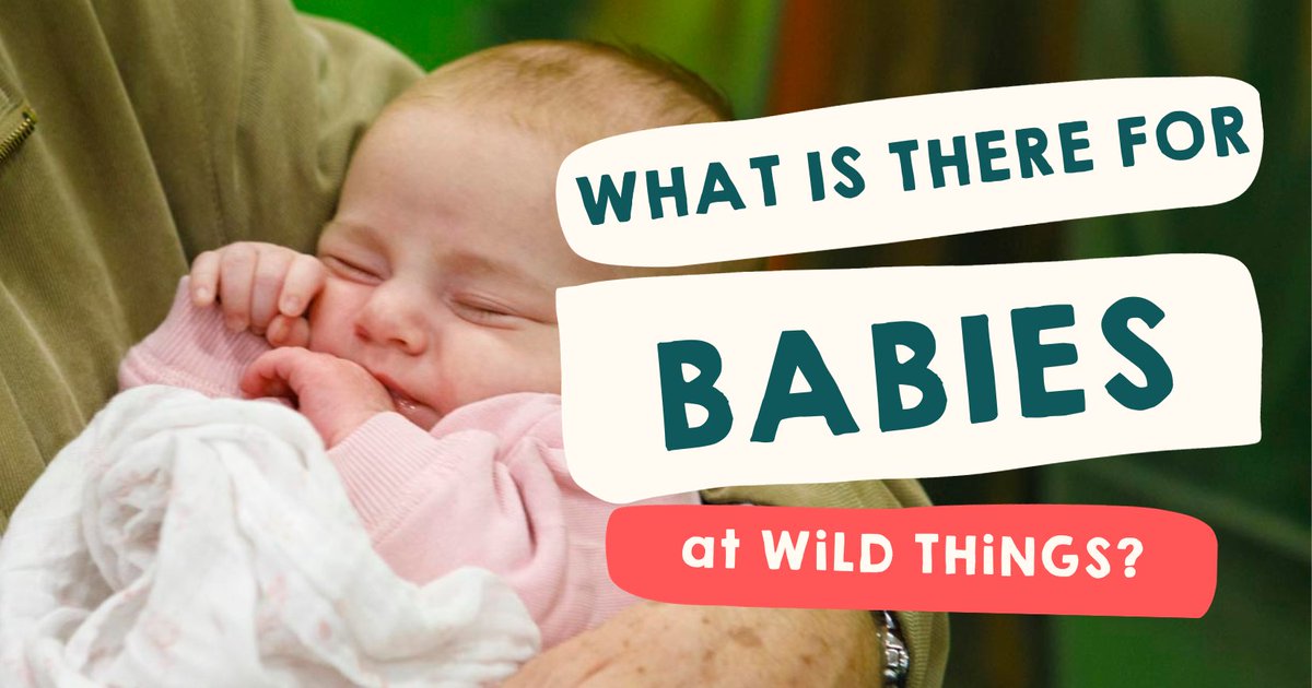 Wondering if there's anything suitable for babies here at Wild Things?👶 Find out more about our 'baby room' and activities for babies in our recent blog:
wildthingsplay.co.uk/soft-play-for-…

#bristolkids