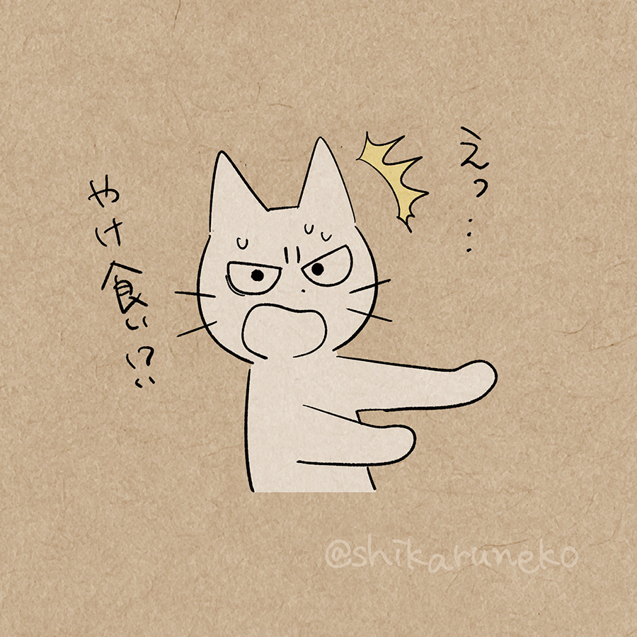やけ食いしてしまう人を叱ってくれる猫