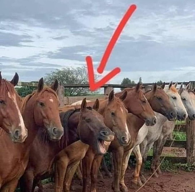 Nadie:  

-yo teniendo una crisis de risa en momentos serios: