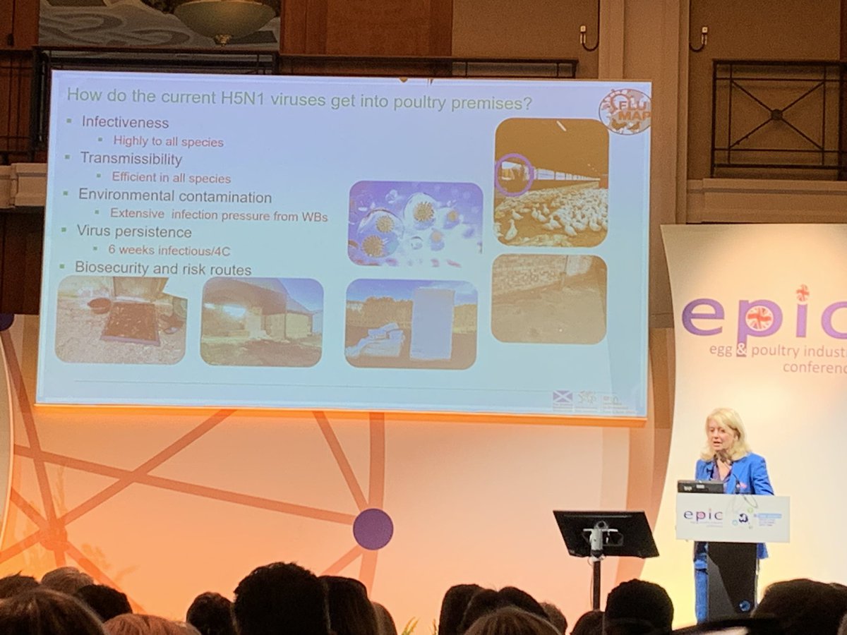 brookeshelen's tweet image. CVO Christine Middlemiss talks through the main ways Avian Influenza gets into #poultry premises #EPIC2023