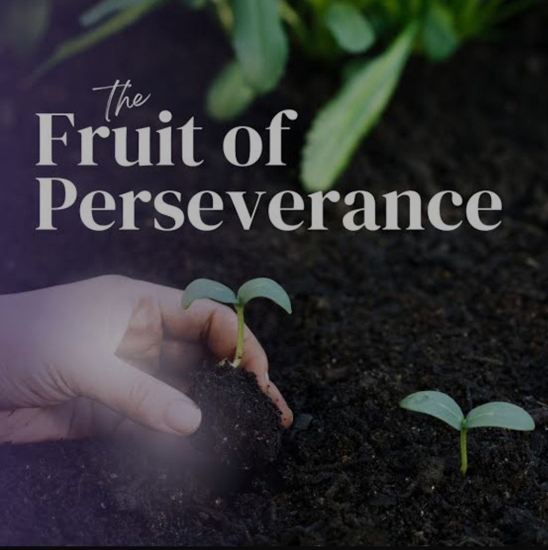 EngrJanz's tweet image. After perseverance, expect the sweet fruits of your labor in both business and relationships. Patience and determination lead to success, rewarding your efforts with achievement and stronger, more meaningful connections. #ExpectSuccess #PerseverancePaysOff #FruitsofLabor