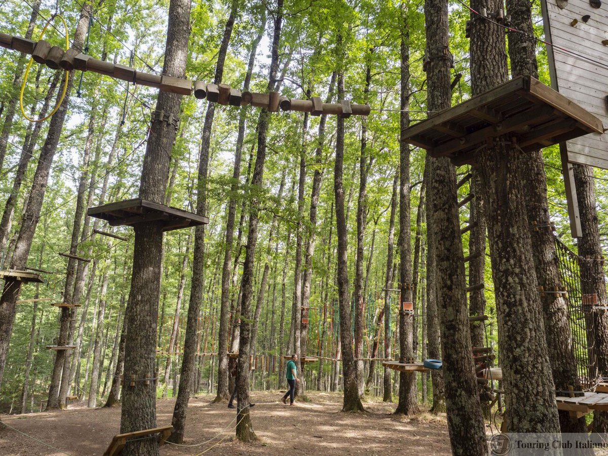 Il Parco Avventura del Pollino, situato a Bosco Magnano, offre 3 percorsi con diversi livelli di difficoltà.

Approfondisci a questo link: isentieridelpollino.it/parchi-avventu…
Foto: Luca Santese

#parcoavventurapollino #parchiavventura #parconazionaledelpollino #boscomagnano