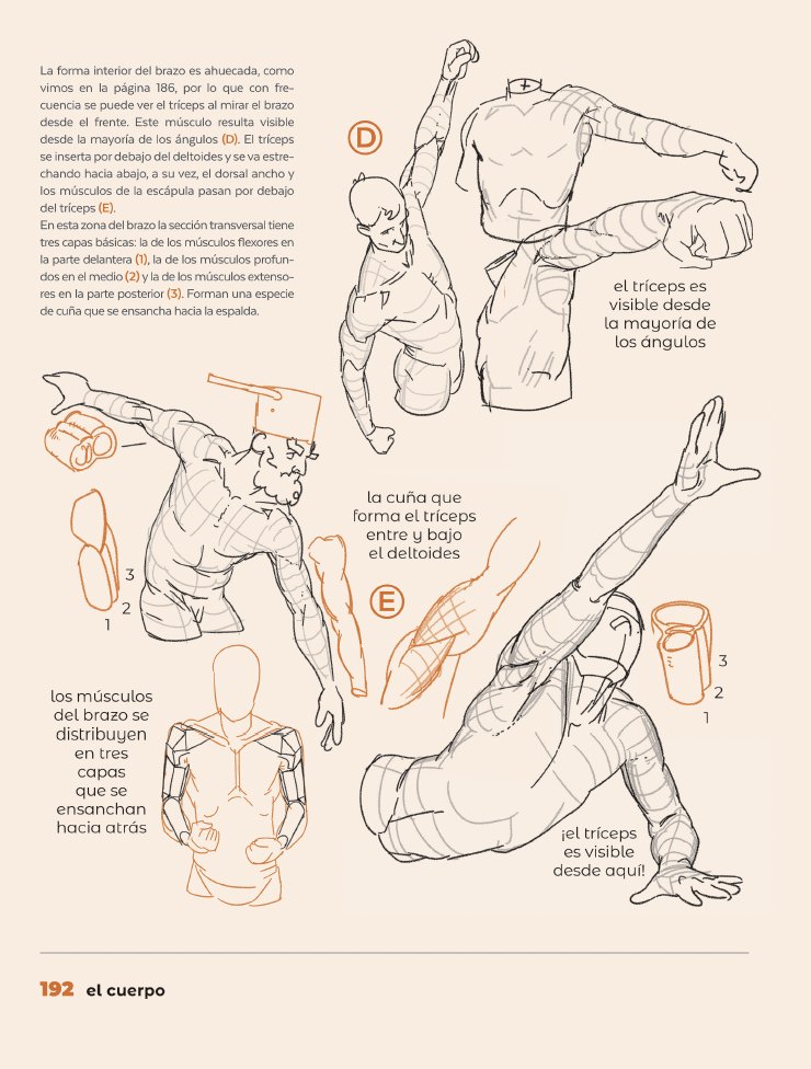 EugenioTuya's tweet photo. "Fantástico, engañosamente simple, pero realmente claro e instructivo libro de anatomía para artistas". 
📚Anatomía para artistas. Figura y pose disponible ya en 295 librerías. 
https://t.co/VDnXOy8DXR
@tomfoxdraws con @Anaya_Multimed. 
#dibujo, #ilustración, #anatomia. https://t.co/fjQo2egbgs