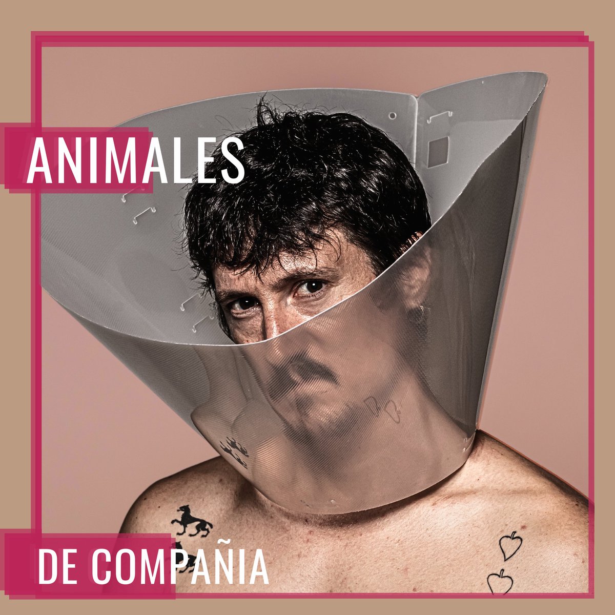 TeatroBellasArt's tweet photo. 𝗔𝗡𝗜𝗠𝗔𝗟𝗘𝗦 𝗗𝗘 𝗖𝗢𝗠𝗣𝗔Ñ𝗜́𝗔 🤐

El #TeatroBellasArtes presenta una obra de @EsterSole y  dirigida por @felemanypon  
@produccionesoff trae un mentira de un grupo de amigos🤥

Másℹ️en nuestra web ↖️

#vaniaproducciones #Pentación #teatro #Madrid
https://t.co/AmFHT5cFfy https://t.co/c0cdNoGXjy