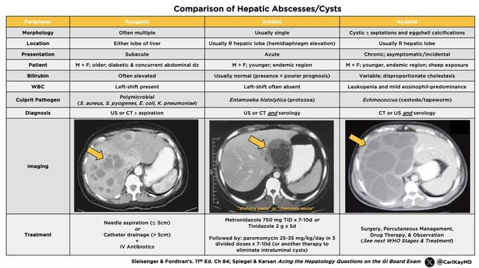 sepdigestiva's tweet photo. Abscesos hepáticos &amp; quistes hidatídicos
1️⃣ Absceso piógeno
2️⃣ Absceso amebiano
3️⃣ Quiste hidatídico

🔸Morfología
🔸Ubicación
🔸Presentación
🔸Población de pacientes
🔸Bilirrubina
🔸CMB
🔸Patógeno culpable
🔸Diagnóstico
🔸Imágenes
🔸Tratamiento

#LiverTwitter 👊 https://t.co/ZRtm46B2Dq