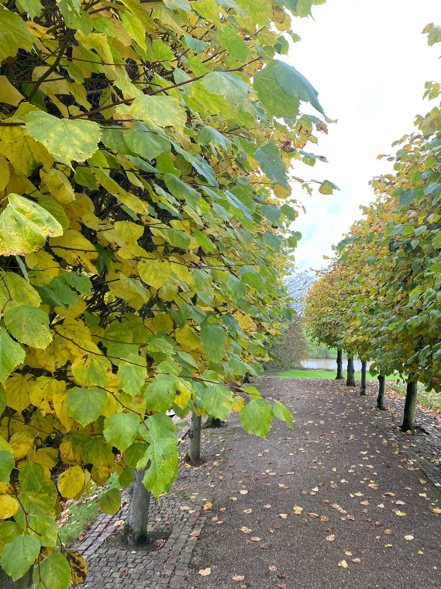 Kelmarsh Hall tweet media