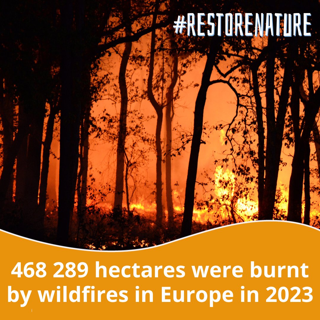 Floods in Greece. Wildfires across the Mediterranean.  Heatwaves around Europe.

Last summer has left many Europeans desperate &amp; extremely vulnerable to the immediate effects of climate change 😢

A strong #RestoreNature Law will protect us from futur…
