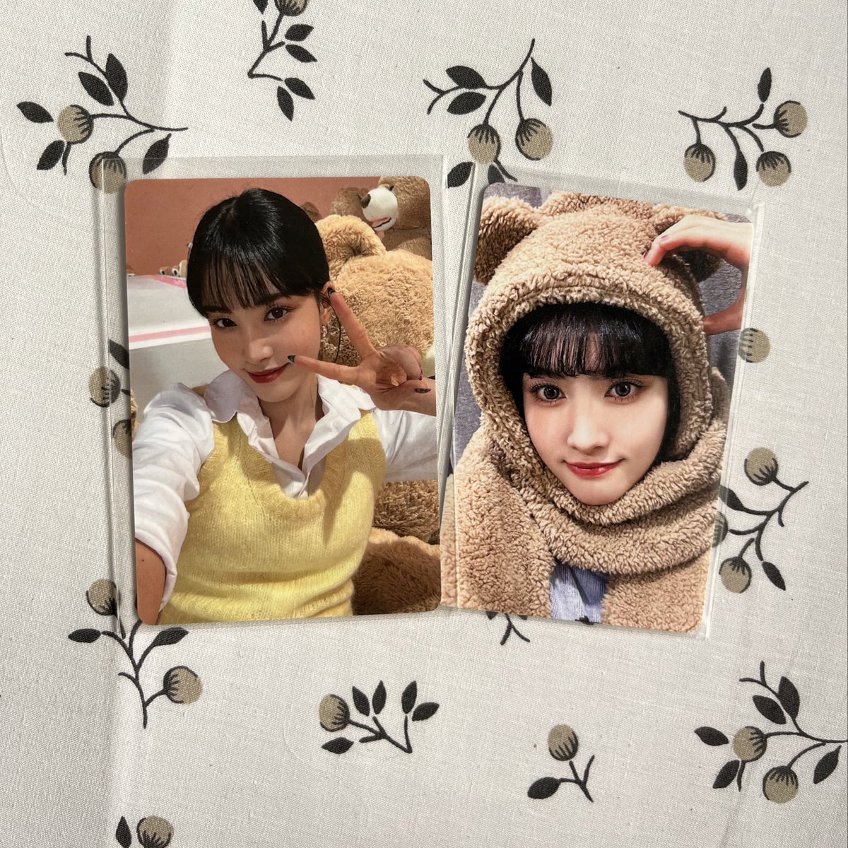skittycatchae's tweet photo. wts lfb stayc ph 

yoon teddy bear japan set

౨ৎ 500 php (plus sf, free pf)
౨ৎ payo (gcash) 
౨ৎ mod: flash, j&amp;t

🏷️ stayc ph photocards yoon isa sumin seeun sieun j teddy bear https://t.co/iURf1VZBKE