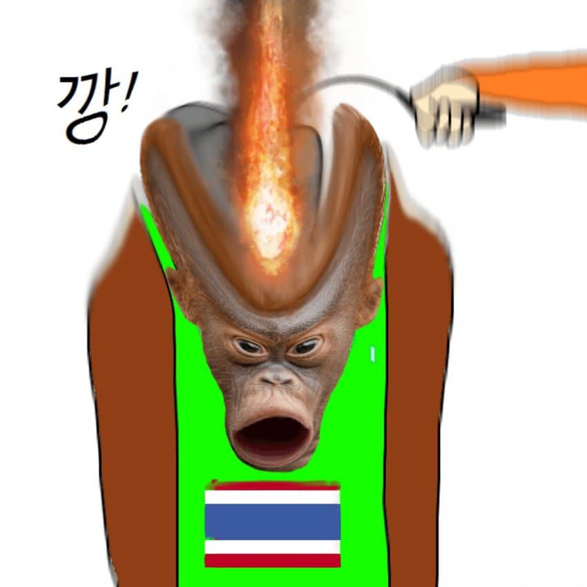 _mc_yea_'s tweet photo. @toey36076921 @zenoki08 @Thavisin 태국인들은 한국에서 꺼져라~
한국은 오랑우탄들을 환영하지 않습니다
태국발 오랑우탄들은 제발 조국에서만 마약을 해주세요 https://t.co/W39F1Tujru