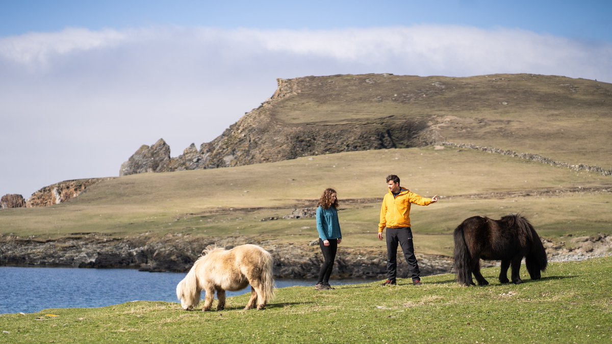 Thrilled to scoop the best UK feature award at last night's @TravWriters awards in London. It was for a @thetimes @timestravel story about walking the length of Shetland, my favourite corner of Britain. Massive thanks to @CatherineMMunro and @shetlandnature.