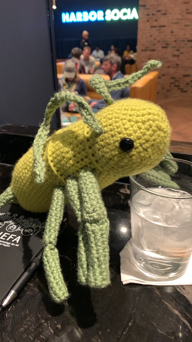 Dr. Carly Tribull tweet media