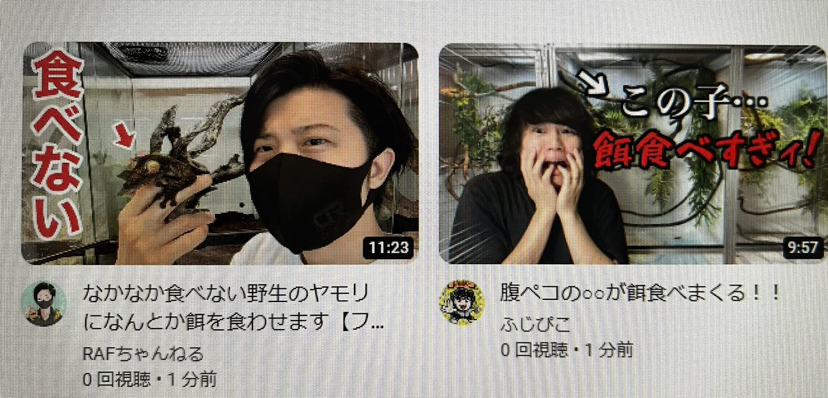 fattail2023's tweet image. 正反対の動画を同時刻に出す
匂わせか…
#RAFちゃんねる 
#ふじぴこ