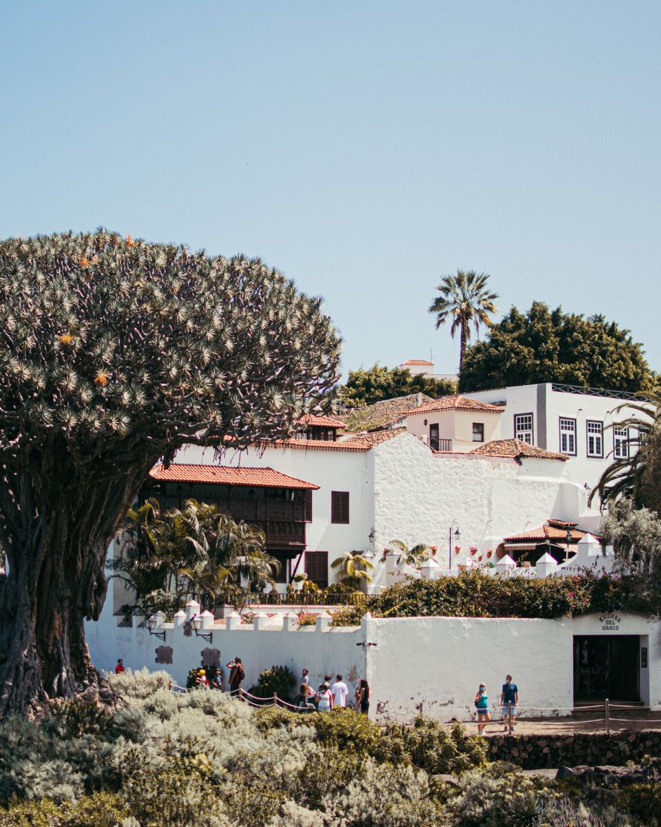 Entrées.es tweet media