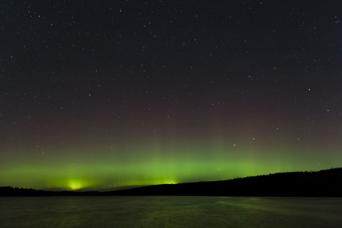 Fran Harris tweet media