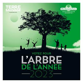 <a href="/ONF_Officiel/">Office national des forêts</a> / <a href="/TerreSauvageMag/">Terre Sauvage</a>  : « L’arbre de l’année » 2023 lire via mpe-media.com/index.php?opti… via @christophejourn <a href="/CBAROCHE/">Christiane BAROCHE</a> <a href="/LeBoisInter/">BOIS INTERNATIONAL</a> <a href="/jogatsby/">Jo Gatsby</a>