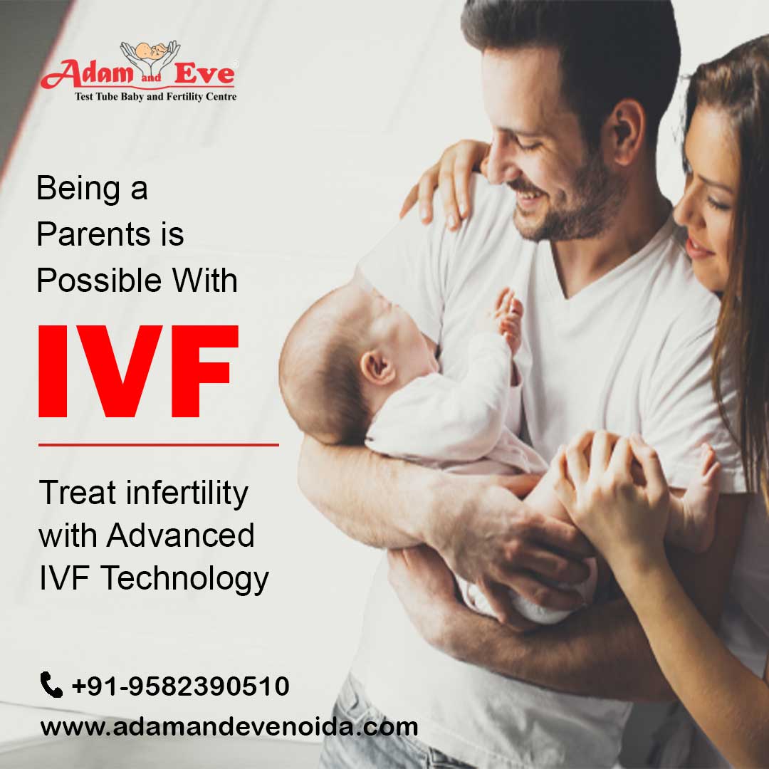 At Adam and Eve Noida, we are determined to provide the best Infertility Treatments. We are among the best #IVF Center in Noida.
#ivf #hospital #noida
𝗕𝗼𝗼𝗸 𝗬𝗼𝘂𝗿 𝗙𝗶𝗿𝘀𝘁 𝗙𝗿𝗲𝗲 𝗔𝗽𝗽𝗼𝗶𝗻𝘁𝗺𝗲𝗻𝘁-
𝗖𝗮𝗹𝗹 +𝟵𝟭-𝟳𝟲𝟲𝟵𝟴𝟬𝟱𝟲𝟬𝟬,
adamandevenoida.com
#ivf