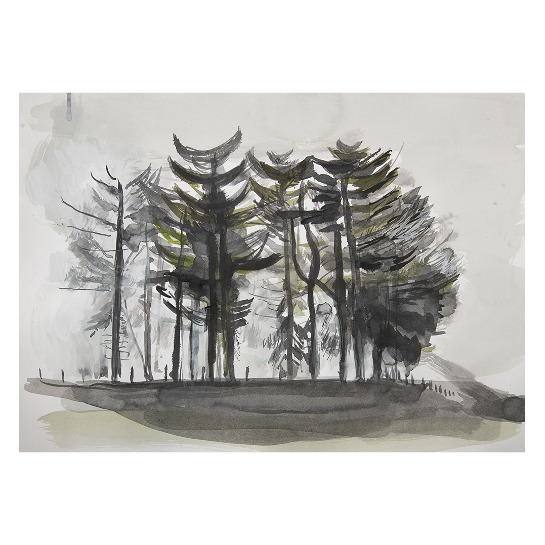 JonPountney1's tweet photo. The scrawny Scotch Pines that stand guard on my entry into the Aber Valley. Almost supernatural sentinels
#art #artist #artistic #contemporaryart #draw #daily #drawing #oilpainting #picoftheday #charcoaldrawing #charcoal #charcoalart #jonpountney #Wales #senghenydd #abertridwr https://t.co/4A4pWEEbrK