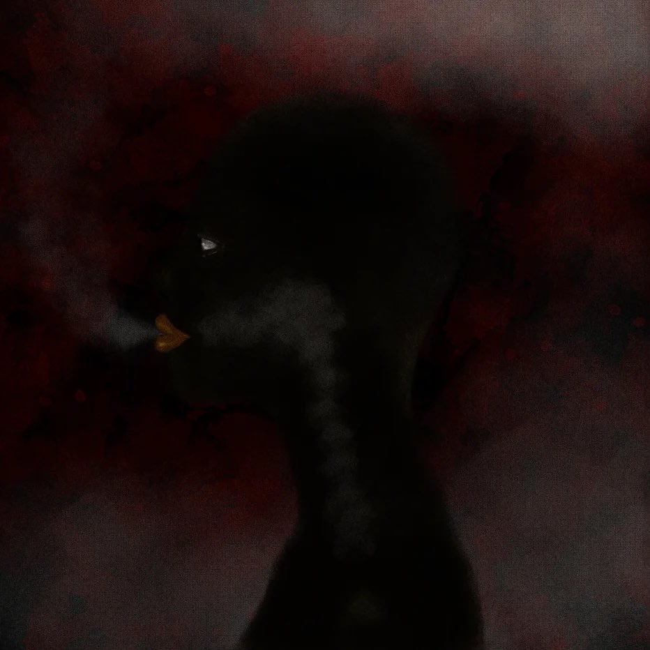 All Fly Studios 🟢 tweet media