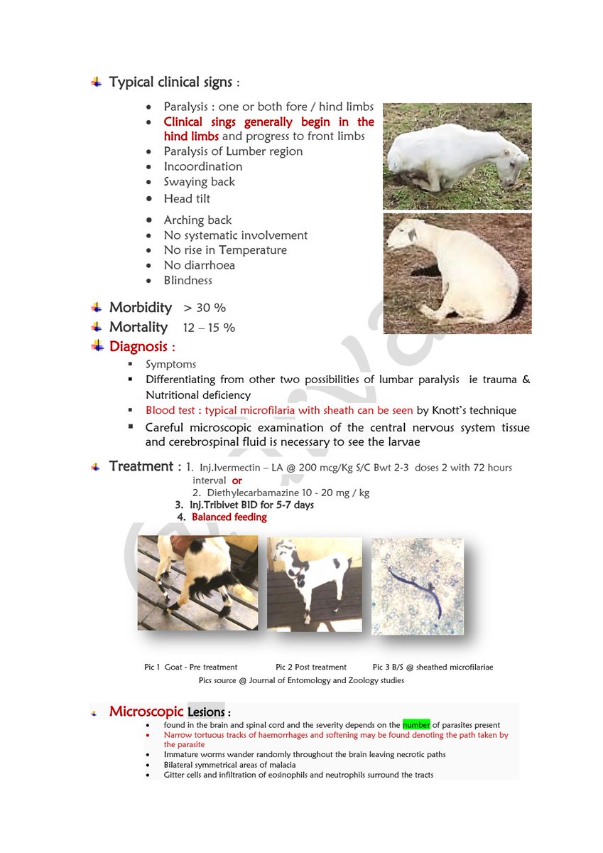 💥Cerebrospinal Nematodiasis 📔
©Dr. Ashok Kumar Valupadasu
📌Click On Images for reading!
📌For VetStudents Learning!
#VET #vetmed #goats #veterinary