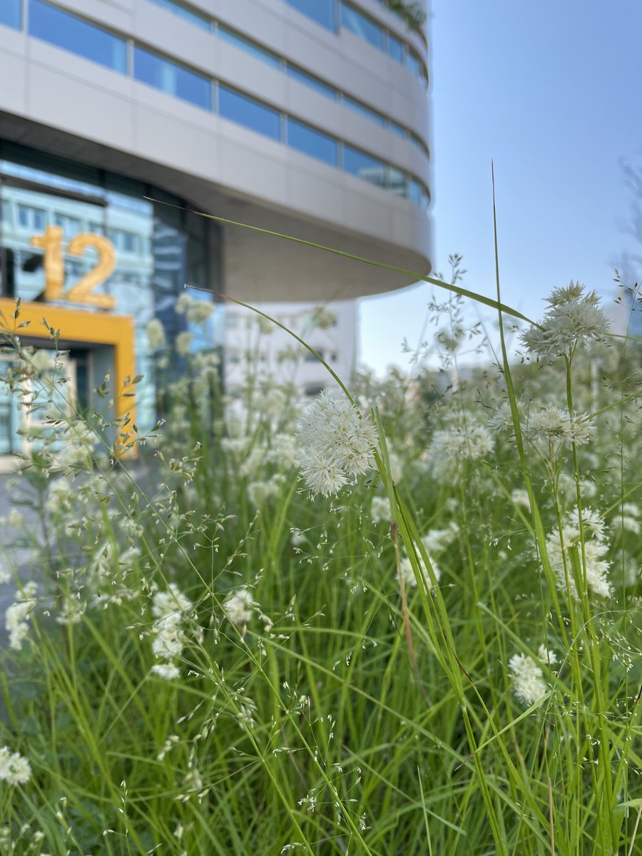 Interested in intelligent data analysis?
Next <a href="/ida_symposia/">Intelligent Data Analysis</a> is organised at DSV, <a href="/Stockholm_Uni/">Stockholm University</a> in April.

3 tracks:
📍 Research, deadline Nov 17
📍 PhD forum, deadline Feb 18
📍 Industrial challenge, deadline Jan 31

ida2024.blogs.dsv.su.se

#AI #ML #IDA2024 #DataScience