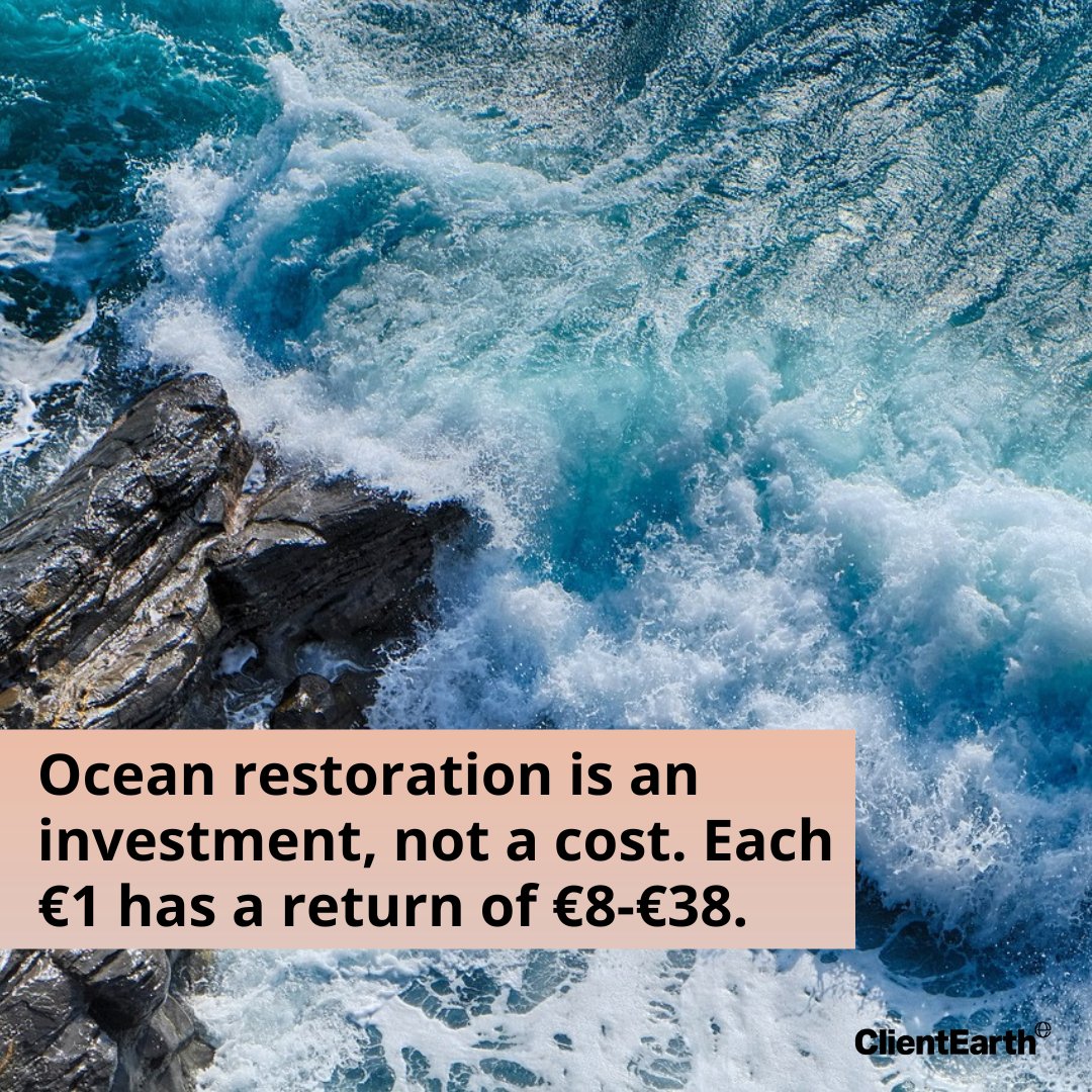 ClientEarthEUR's tweet image. Restoring the ocean means protecting communities, biodiversity, and the largest carbon sink on our planet. A law to #RestoreNature will help bring back ocean life in Europe.