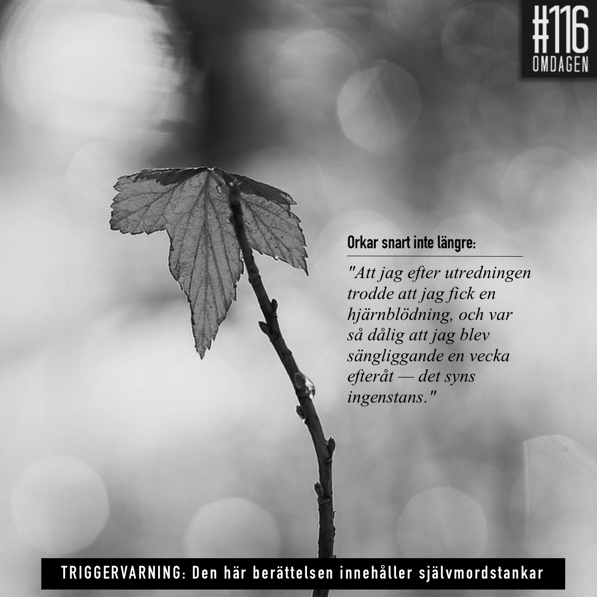 116omdagen's tweet photo. * * * TRIGGERVARNING * * *
Orkar snart inte längre:
”Specialistkompetens intygar att mina diagnoser verkligen orsakar problem i angiven omfattning, men FK avslår”
https://t.co/tg6RsgxEVh
#sjukförsäkring #svpol #Försäkringskassan #Triggervarning #TW #trigger #ME #fibromyalgi https://t.co/mF8146hMK4