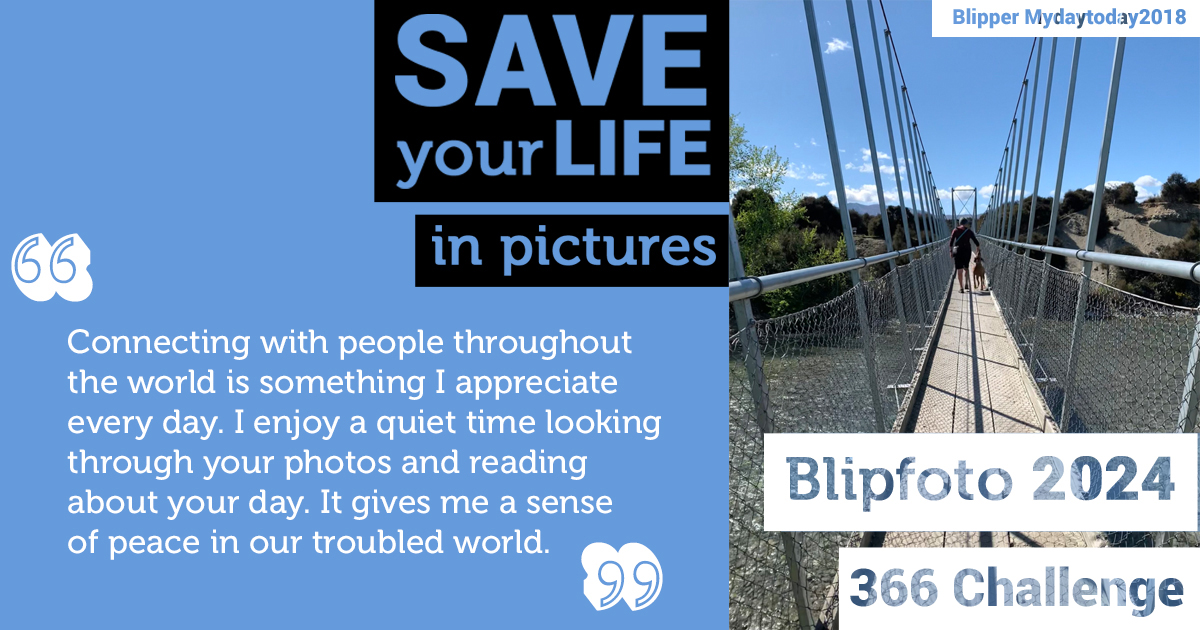 Blipfoto tweet media