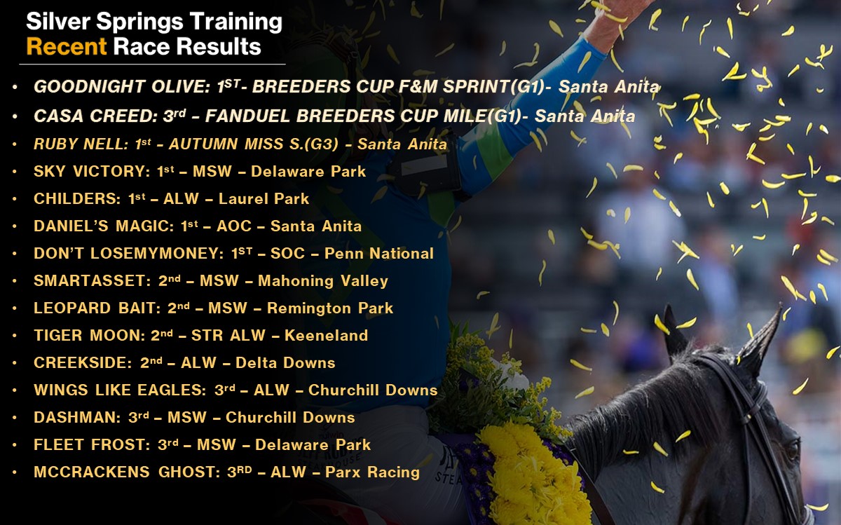 SilverSpringsKY's tweet photo. What a thrilling past couple of weeks!
Both Silver Springs grads in the BREEDERS CUP gave incredible performances, along with plenty of other great finishes! Congratulations to all of the connections and teams who work hard all year to keep these horses happy. #SStraining https://t.co/gzCFP6mCaX