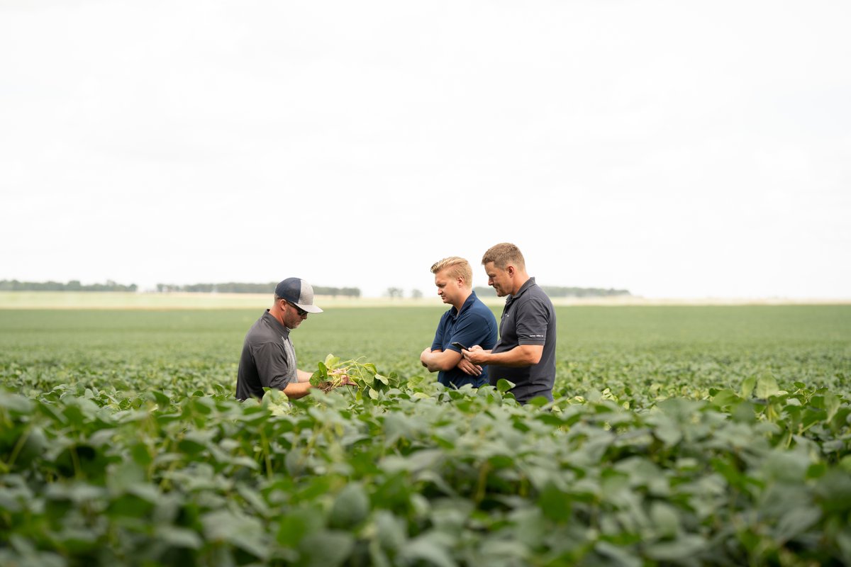 Did you know that soybeans acreage increased to 1.5 million acres this spring in Manitoba?

Prograin is proud to say that we develop varieties that have prairie farmers in mind.

Click the link to view our 2024 Seed Guide: prograin.ca/app/uploads/si…