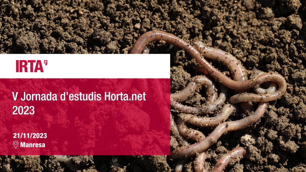 irtacat's tweet image. 🪱🌱 #Formació #IRTA - V Jornada d’estudis Horta. net 2023

Coneix sistemes sostenibles per protegir enfront de #plagues, malalties i males herbes.

📅 21/11
🕙 16 h - 18 h
📍 #Manresa
ℹ️ ow.ly/JuOH50Q3SvF

@accioclimatica @UABBarcelona @ruralcat