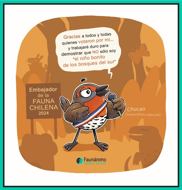 Habemus embajador! 🎉
Este pajarito se ha coronado como ganador y nuevo embajador para la fauna chilena 2024

El chucao! Una de las aves más reconocidas y admiradas de los bosques sureños (Felicitaciones al team 😁)

faunanimo.cl 
#chucao #díadelafaunacl