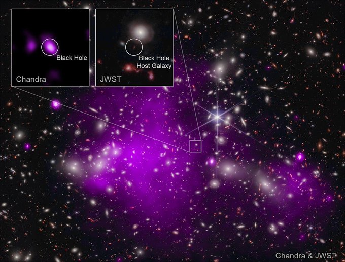 This is a composite image from Chandra and Webb. It features scores of seemingly tiny celestial objects in a sea of black. This is galaxy cluster Abell 2744. When magnified, the tiny white, orange, and purple objects are revealed to be galaxies and stars. Many appear to float in a neon purple cloud of X-ray gas in the center of the image.Just to the right of center, at the edge of the purple cloud, is a tiny orange speck. This speck is far in the distance, well beyond the galaxy cluster. It's a galaxy containing a supermassive black hole.With so many celestial objects, the tiny orange speck is easily overlooked. Therefore, the image is labeled. A box outlines the galaxy, and two enlargements are inset at our upper left. In the inset showing Chandra data, a hazy, purple oval with a light pink core is shown. This purple oval represents intense X-rays from a growing supermassive black hole.This black hole is located in the distant galaxy in the center of the inset showing Webb data.