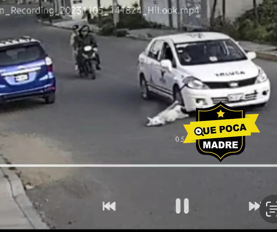 ❌🚖‼INFELIZ‼😡 ESTE TAXISTA AT0PELLÓ A MI PERRITO EN #Toluca #Edomex😞🐕

🔴#DenunciaCiudadana

🗣Uno de los #TaxisVifram de #Capultitlán iba en exceso de velocidad y atr0pelló a mi #perrito, y en vez de detenerse aceleró más, a mi perro le tendrán que amputar su patita.