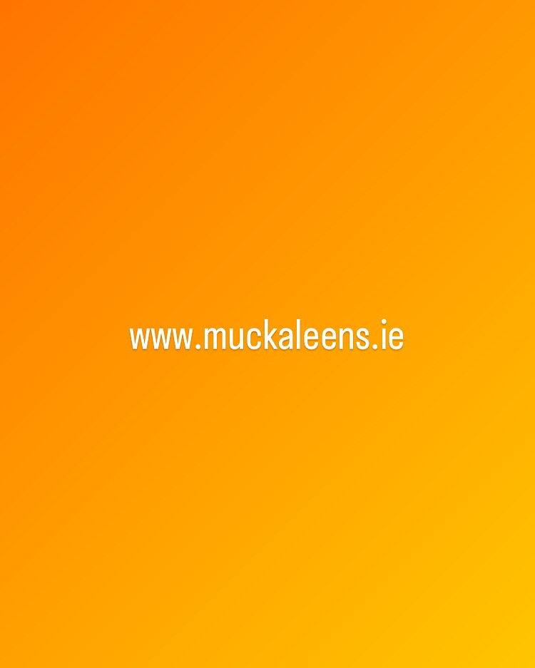 Check out our newly designed website